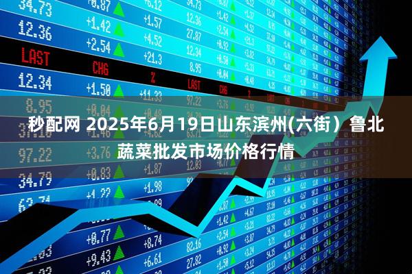 秒配网 2025年6月19日山东滨州(六街）鲁北蔬菜批发市场价格行情