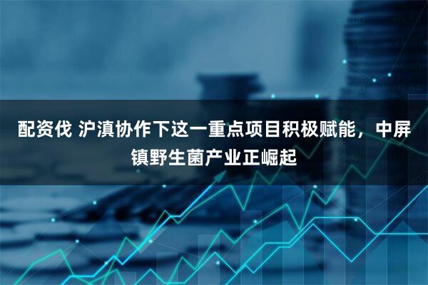 配资伐 沪滇协作下这一重点项目积极赋能，中屏镇野生菌产业正崛起